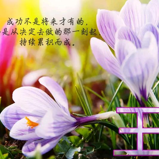 俺农村人