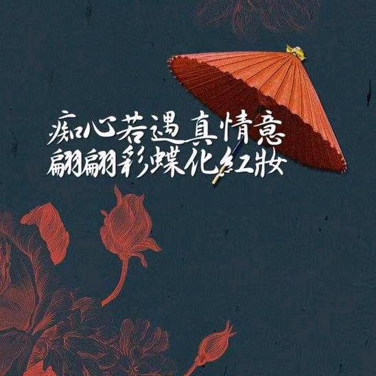 初心2046