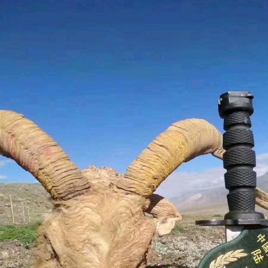 青春献给橄榄绿06