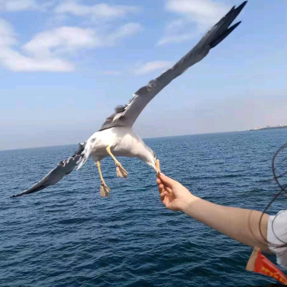 亿迈电脑 回收笔记本 台式机 电子产品