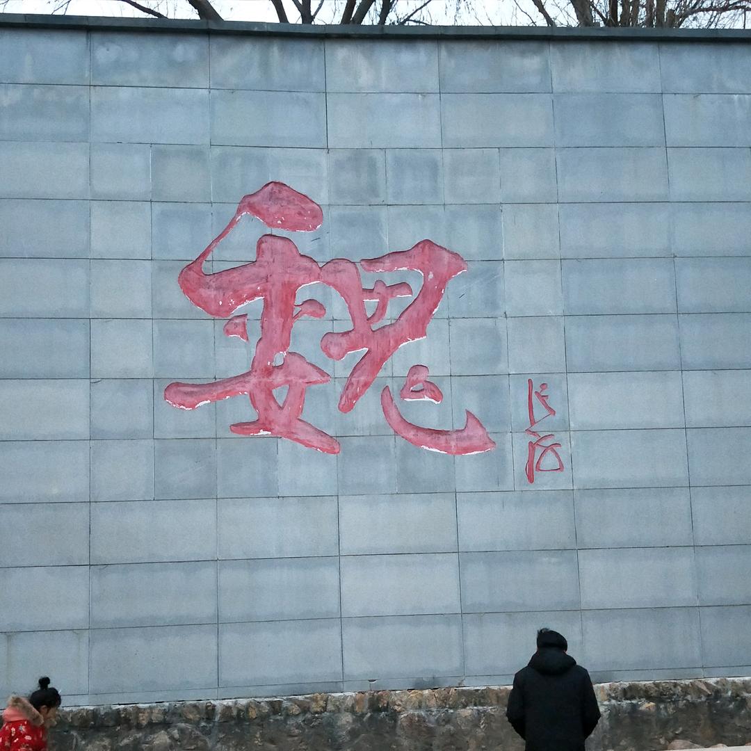 呀！一头牛