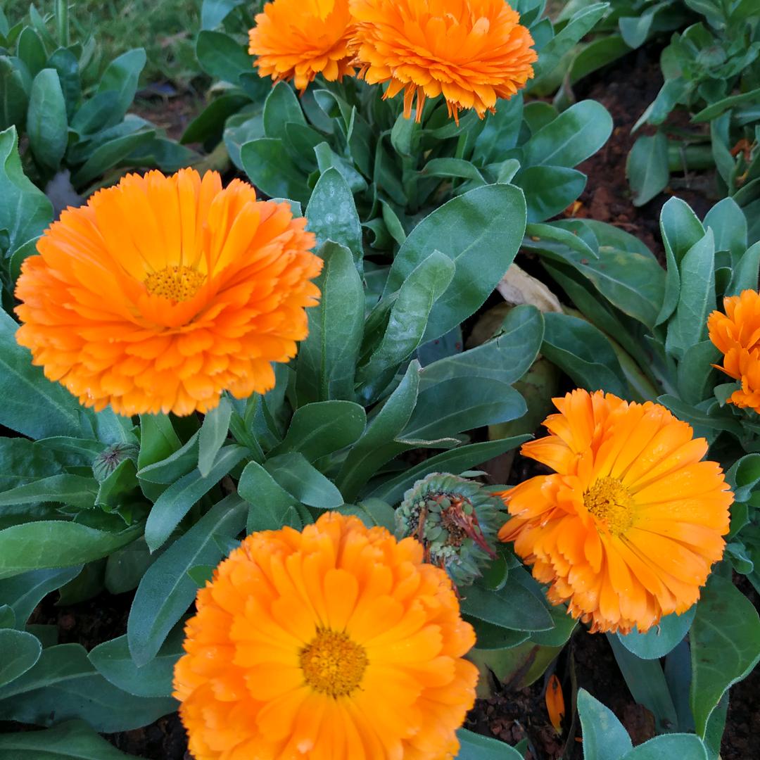 欢曳🌝🌝心晴😀拒私聊