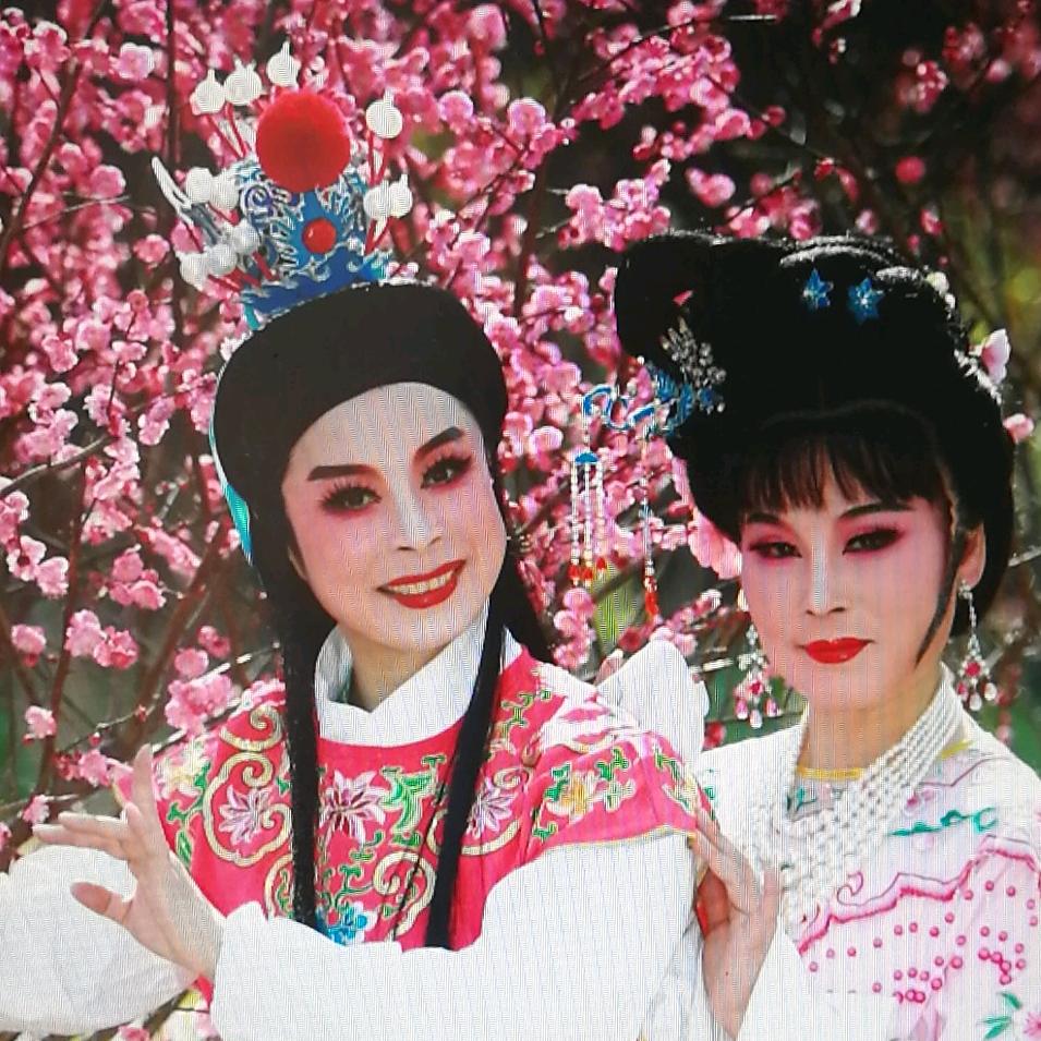 小梅