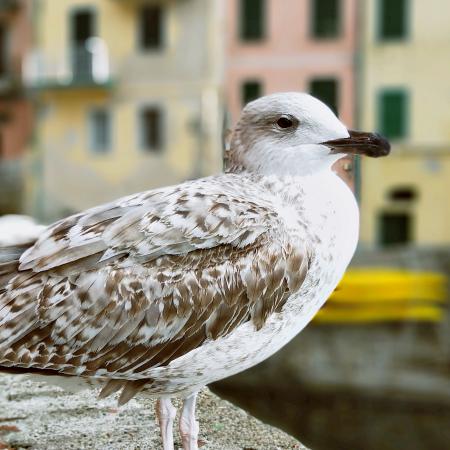 新的一年心想事成