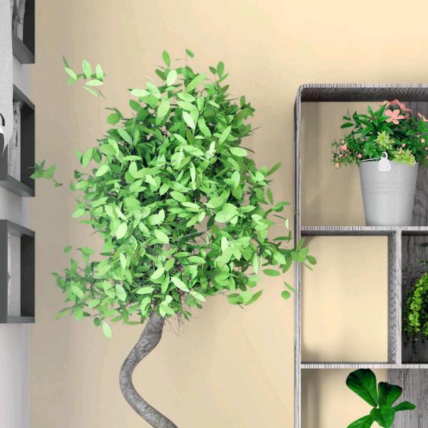 姣💞(´｡✪ω✪｡｀)