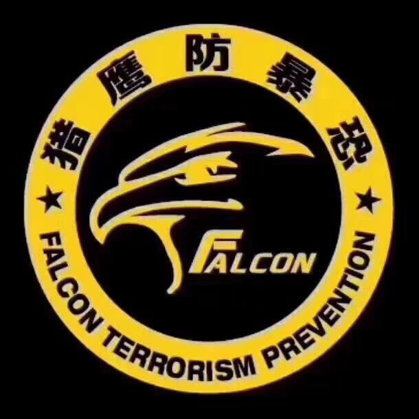 猎鹰控险-防暴恐培训