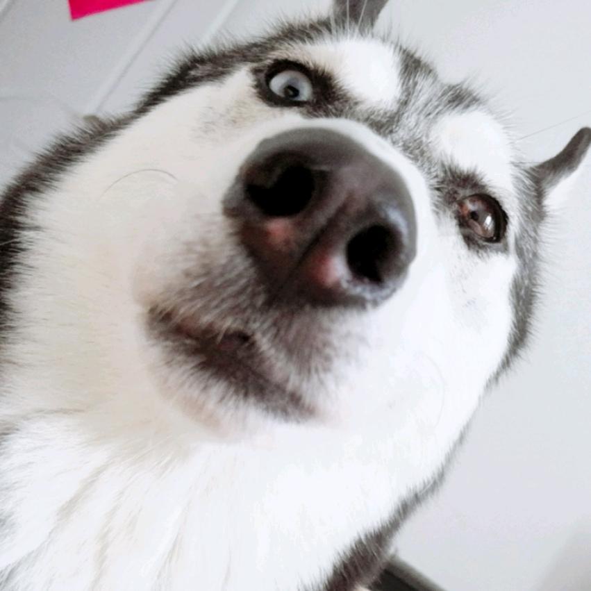 🌈🌈半夜看西游记