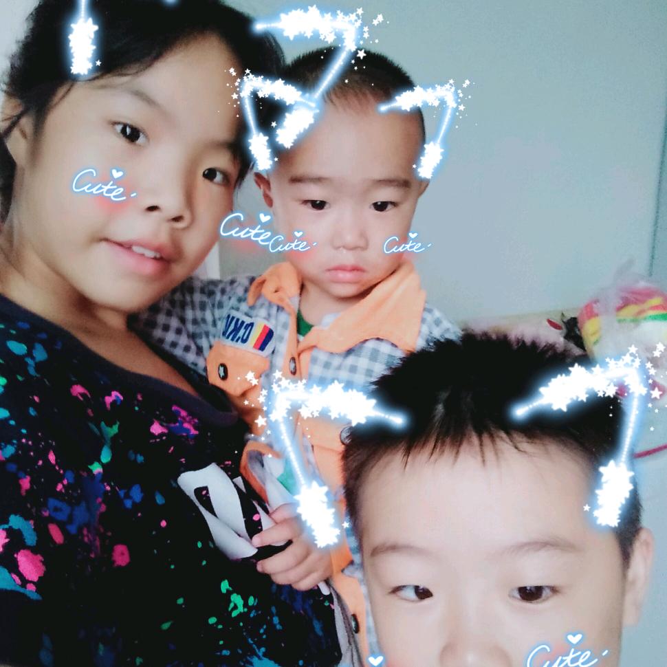 杨杨