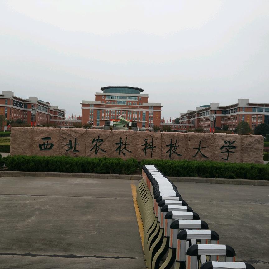 不起眼的农业人