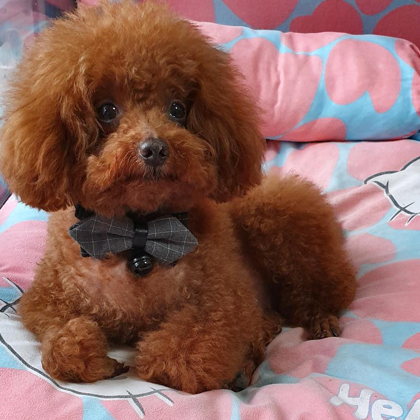 ❤夕夕老师❤橱窗有好物