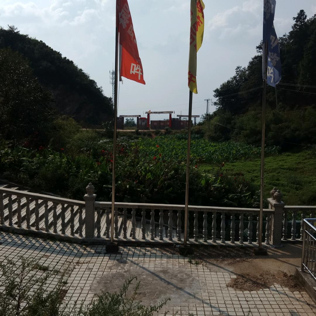 神风破浪🐮🐮🐹