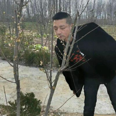 谁主沉浮