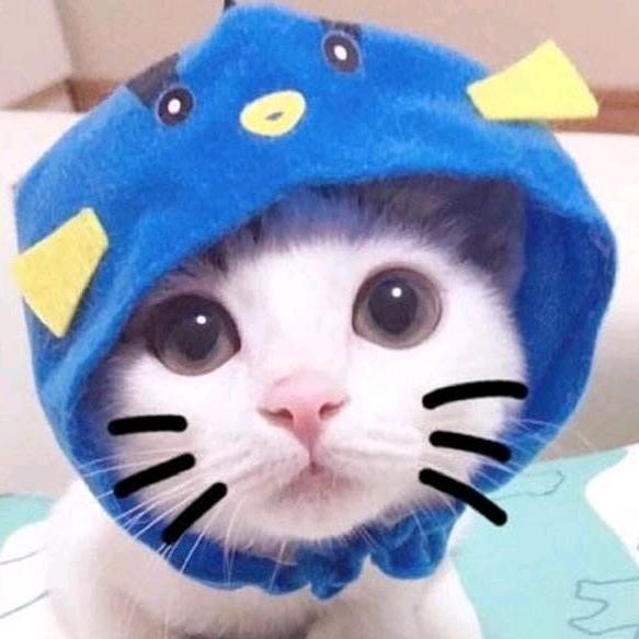 女汉子@-@萌妹子