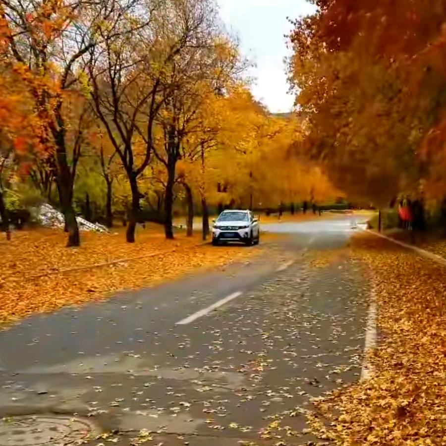 《平安♥是福》