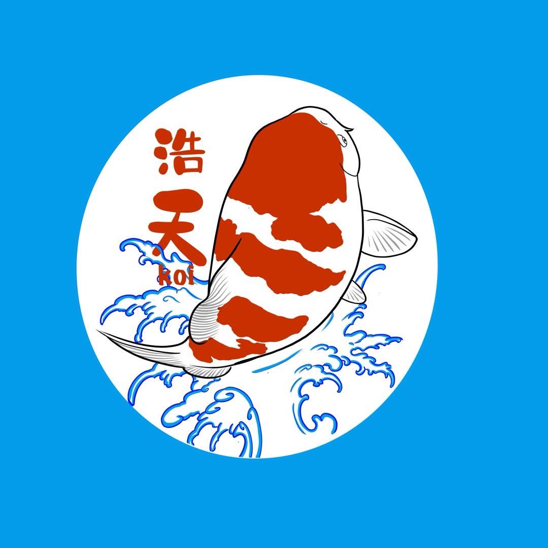 浩天锦鲤koi