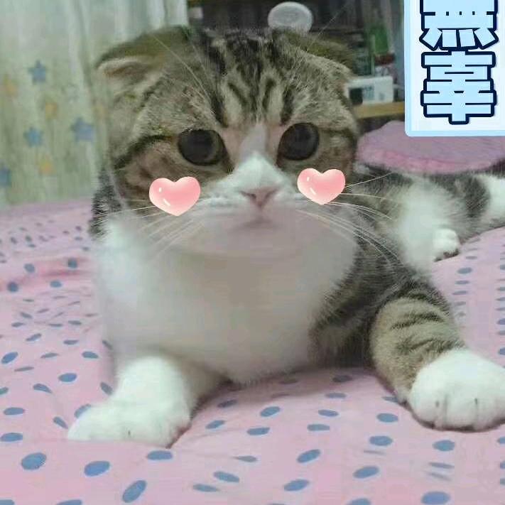 郭强