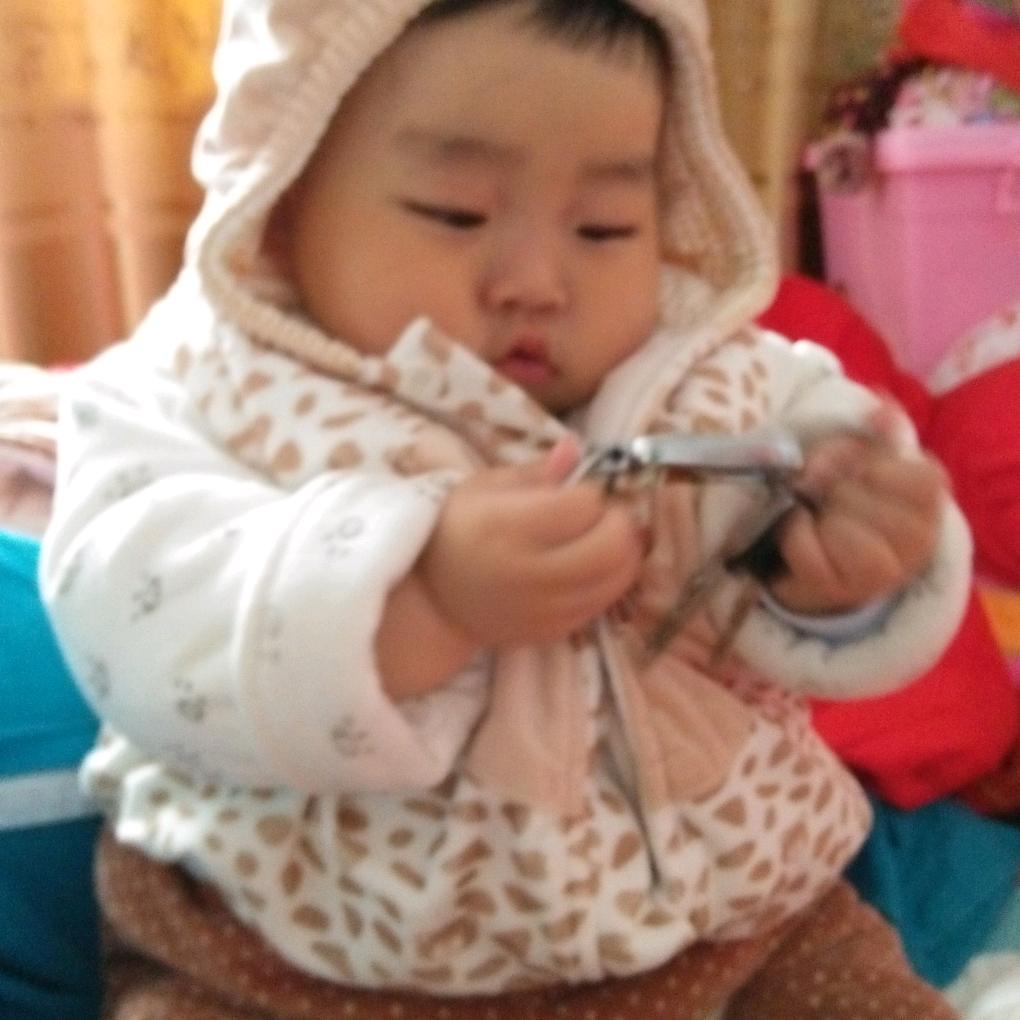 百顺火机