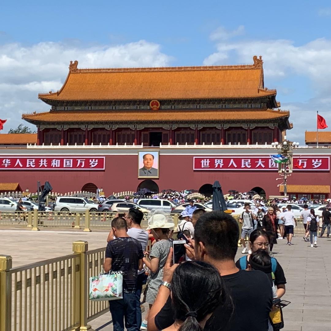 社会太黑我太累