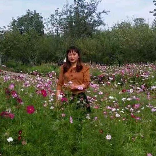 于姐批发驼奶粉