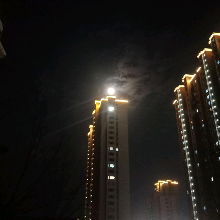 🌟泰山强哥🌟