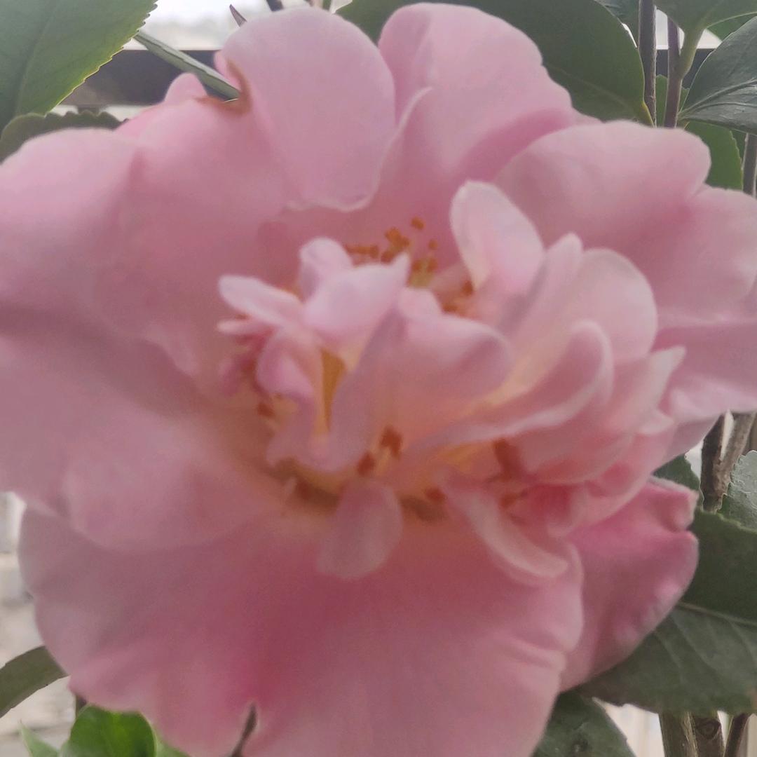昔日童话