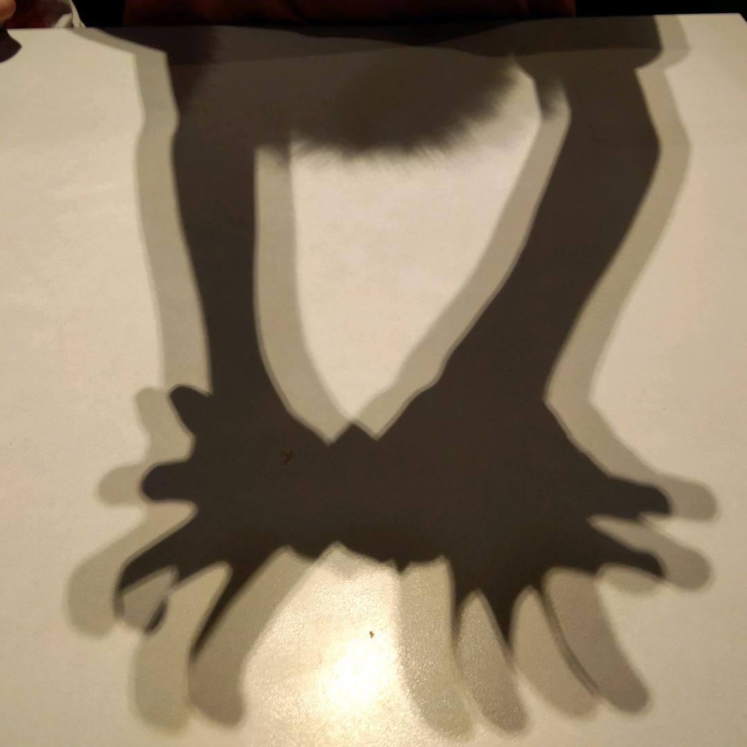 明
