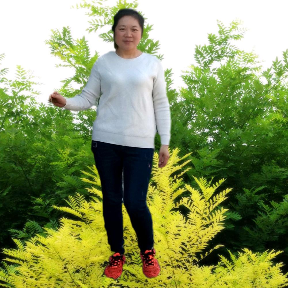 连花曳步舞