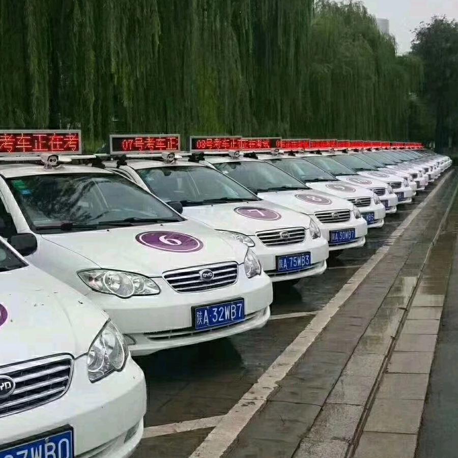 教练姓杨