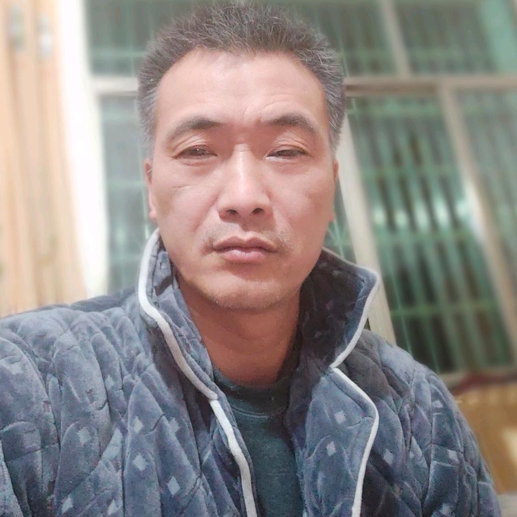 樱花树下蝶舞纷飞