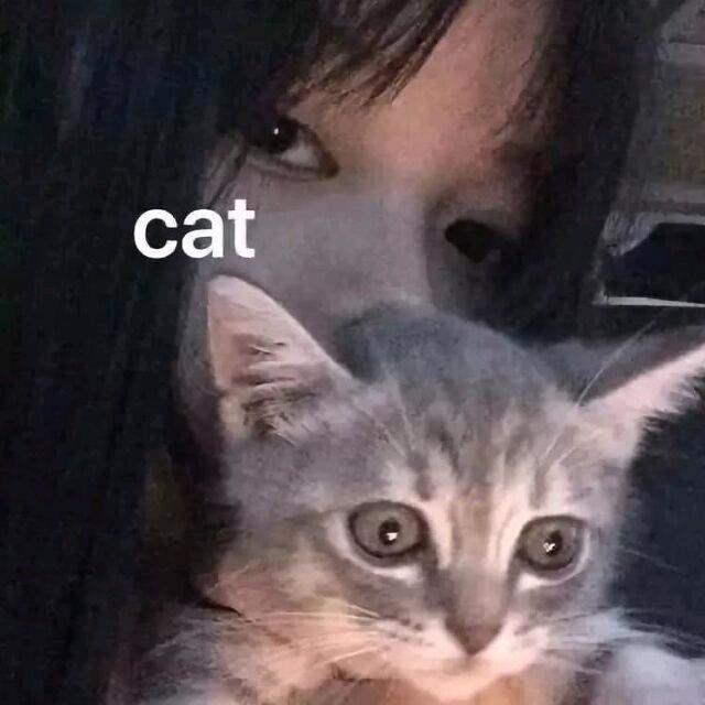 倩.