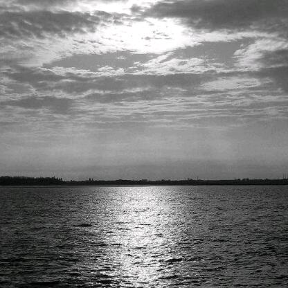 山有木兮木有歧