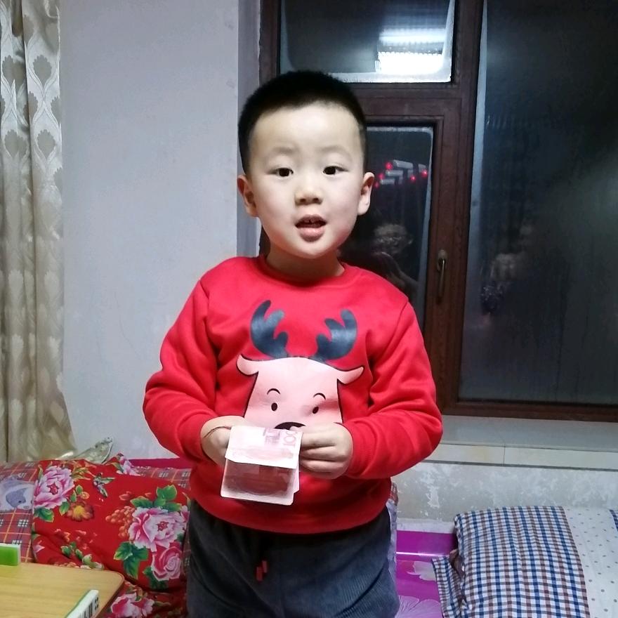 不是一般的笨