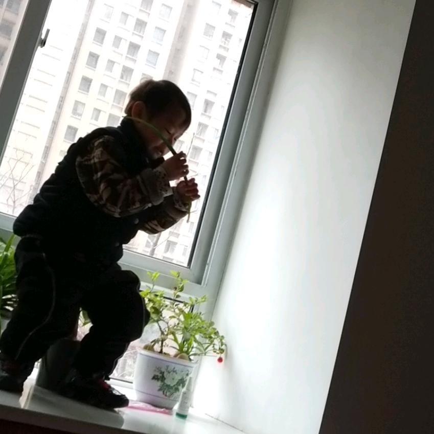 批发木地板赵姐