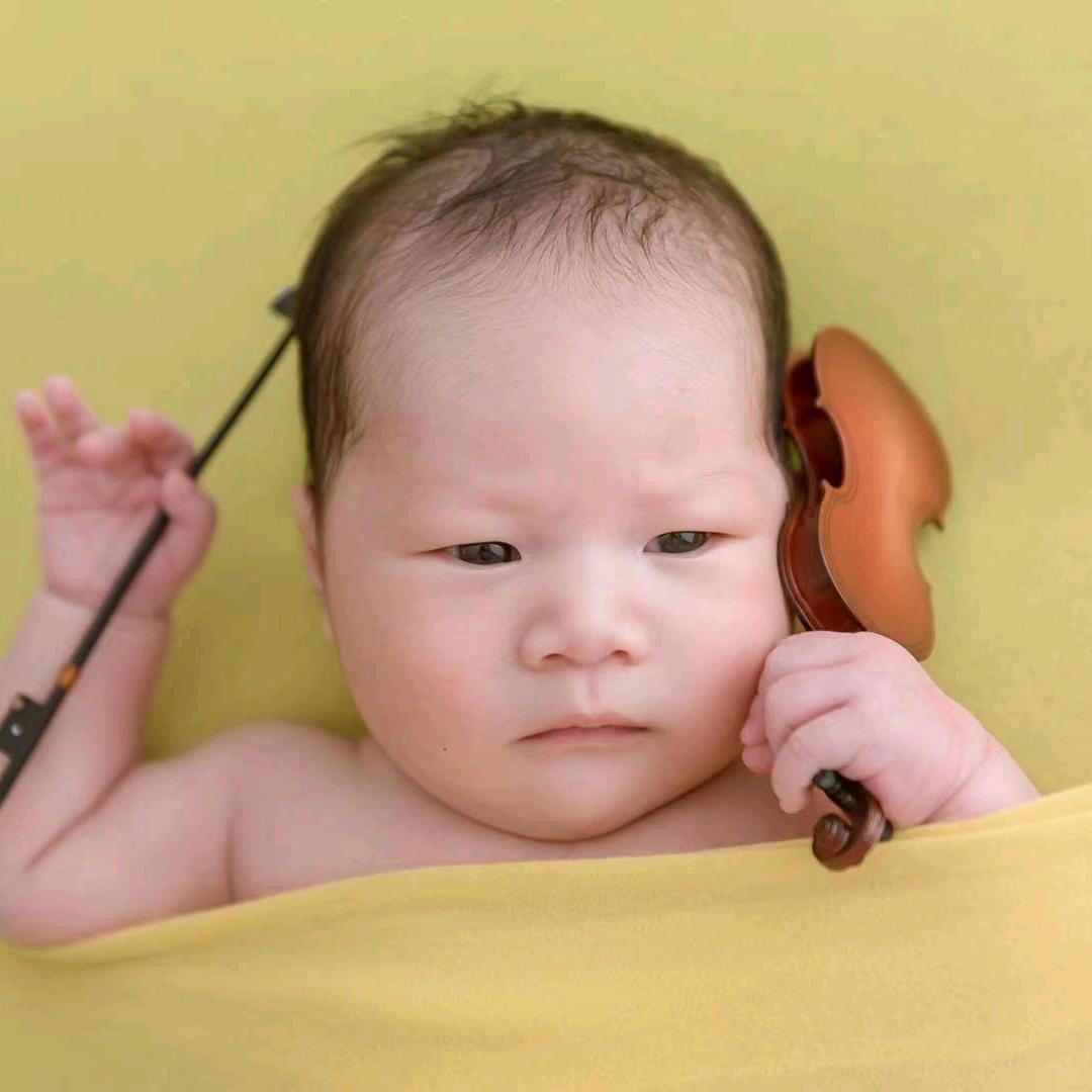 吉普是个小崽子