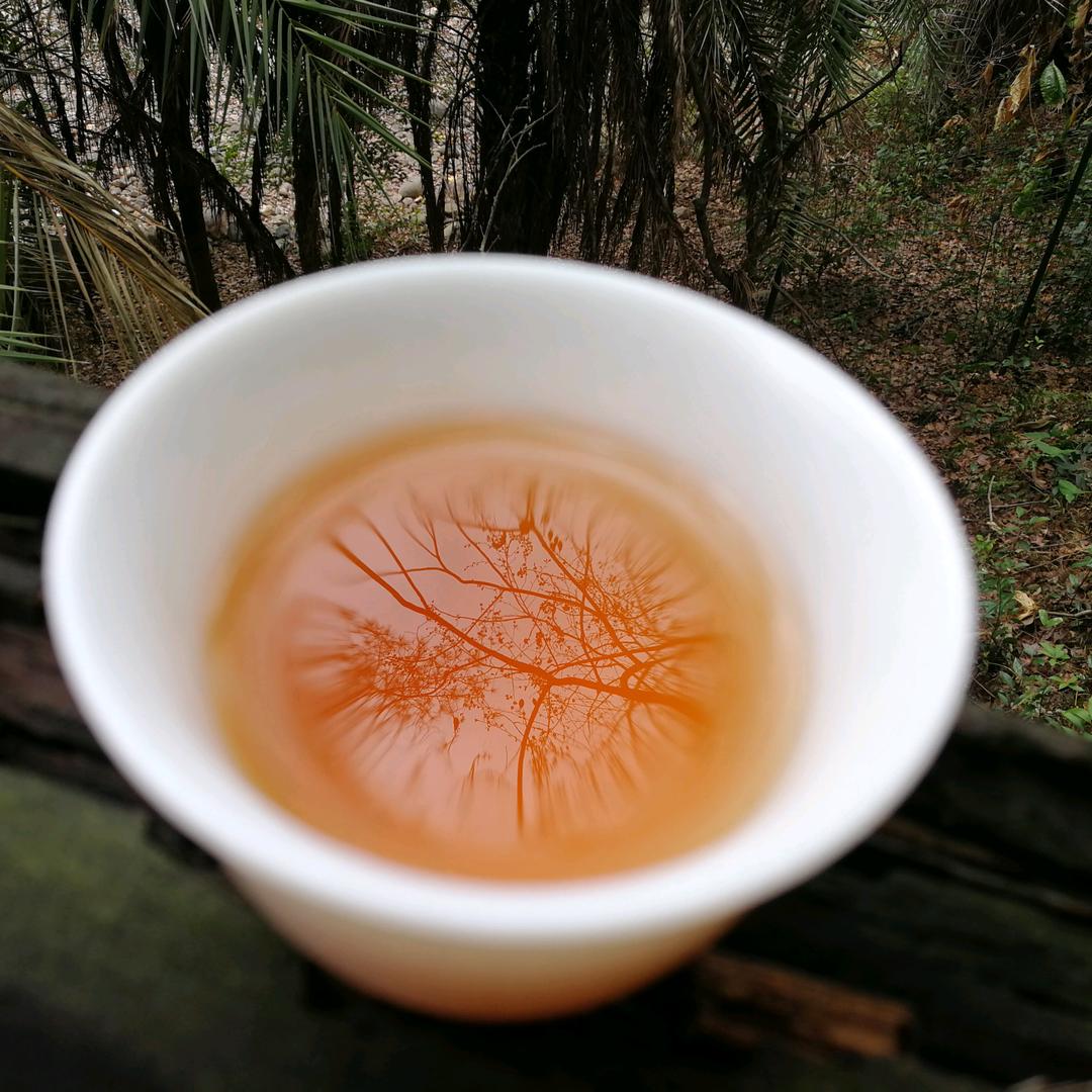 一盏浅醉的茶