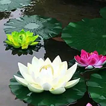 心如莲花，人生才会一路芬芳