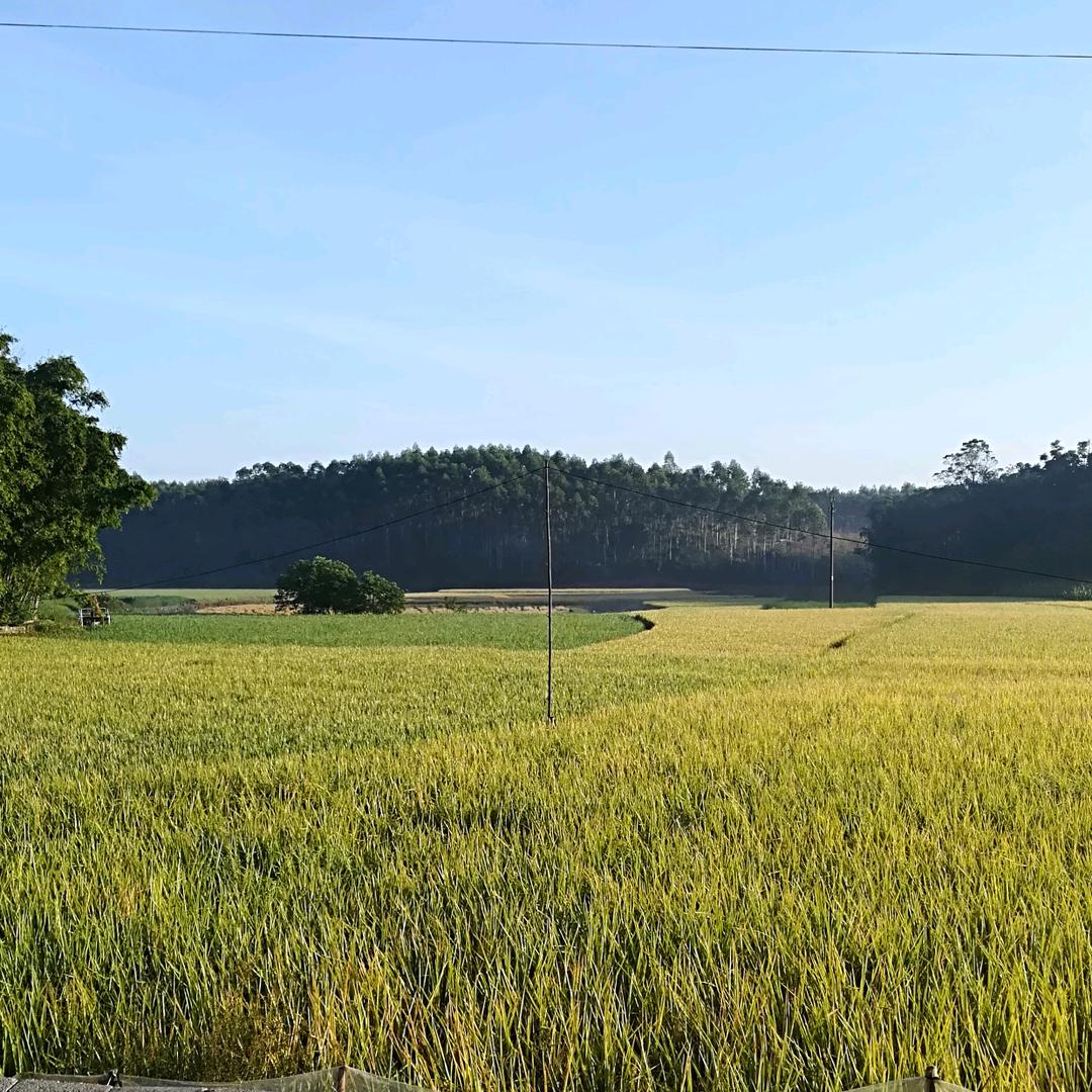 用户3660892589559蓝天