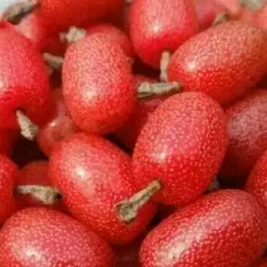 春芳He just endure.