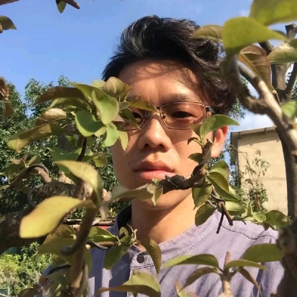 80种树人盆景