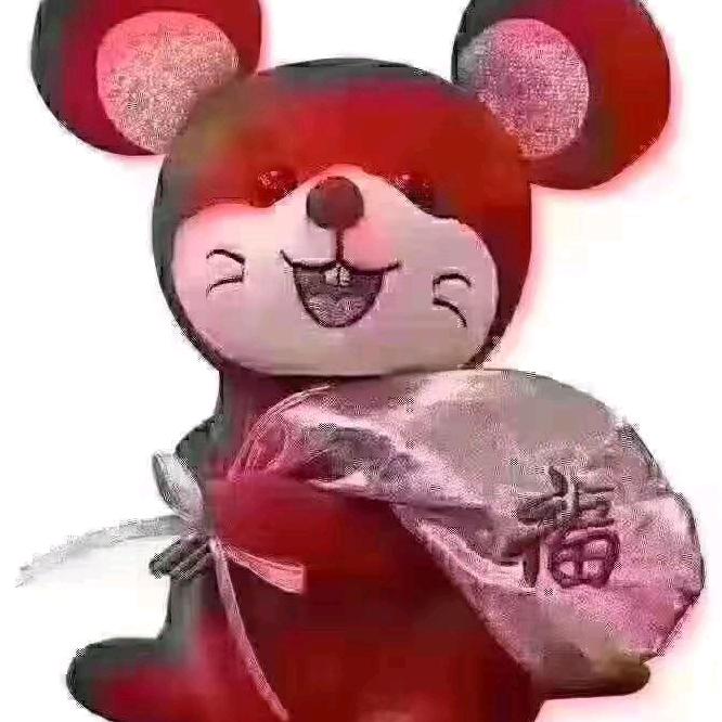 圣诞玫瑰