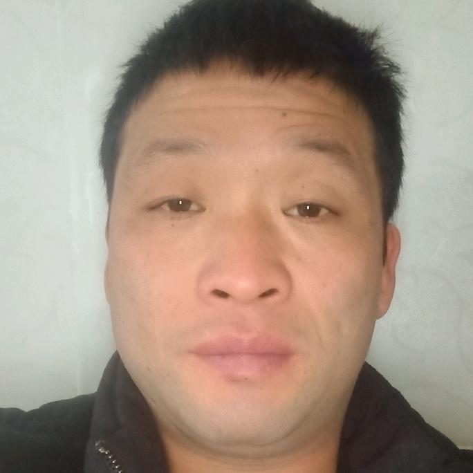 杨总