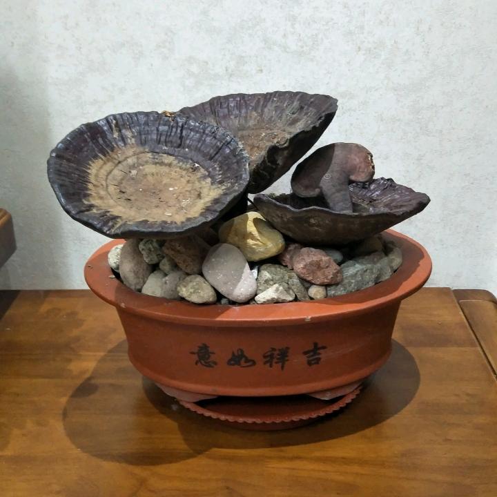 黎辉明