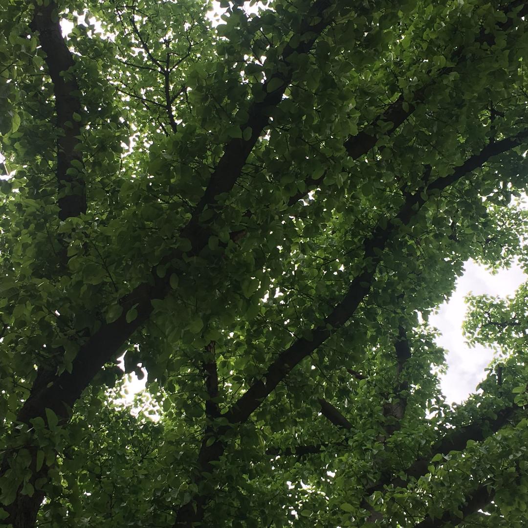 高端大气