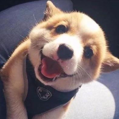 Oooooooooink