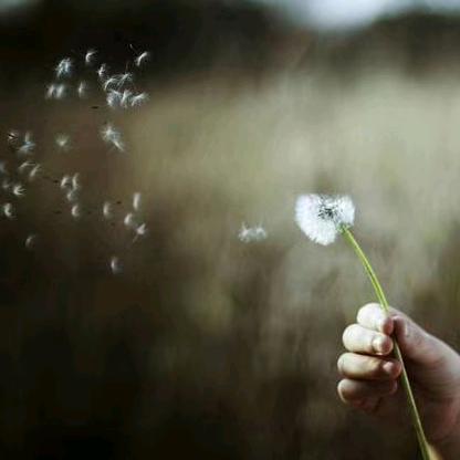 ༼ ಥ   兮颜   ಥ ༽ ➳