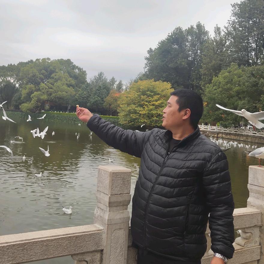 风一样的速度