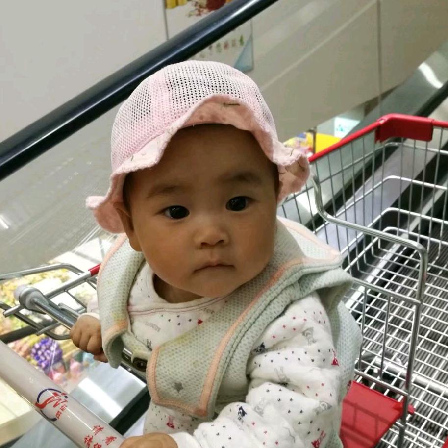 老贺小贺