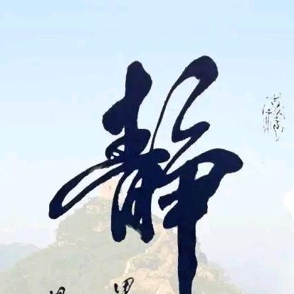 无翼鸟