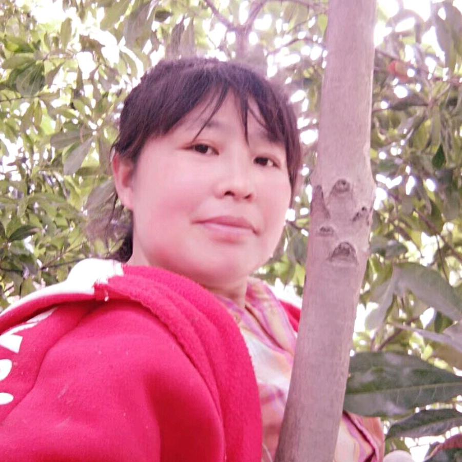 迷茫的人生