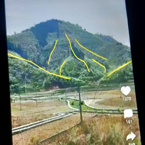 我为鱼痴狂